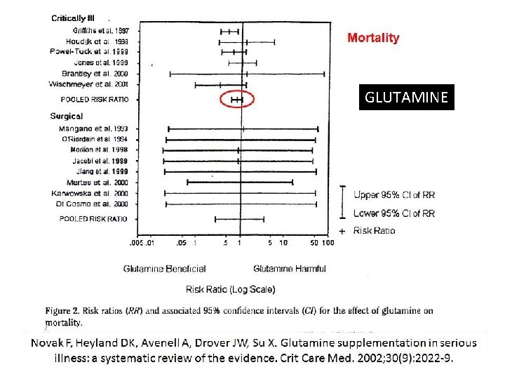 GLUTAMINE 