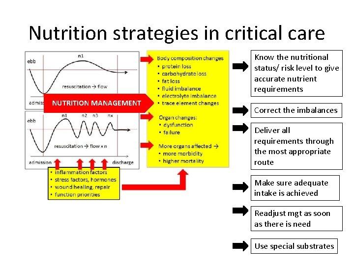Nutrition strategies in critical care Know the nutritional status/ risk level to give accurate