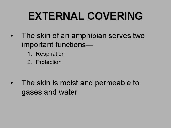 EXTERNAL COVERING • The skin of an amphibian serves two important functions— 1. Respiration
