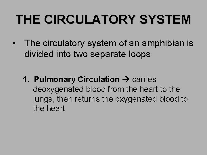 THE CIRCULATORY SYSTEM • The circulatory system of an amphibian is divided into two