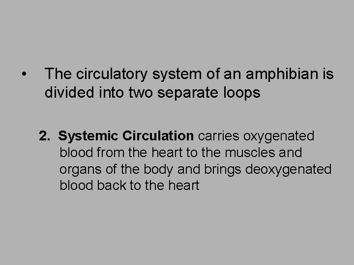  • The circulatory system of an amphibian is divided into two separate loops
