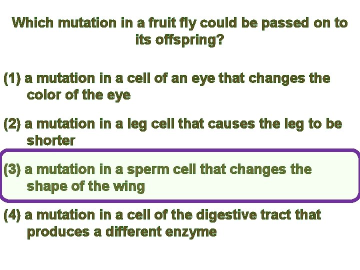 Which mutation in a fruit fly could be passed on to its offspring? (1)