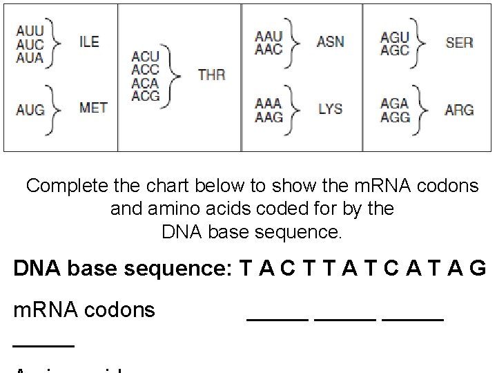 Complete the chart below to show the m. RNA codons and amino acids coded