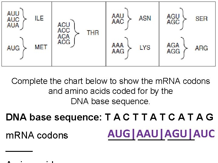 Complete the chart below to show the m. RNA codons and amino acids coded