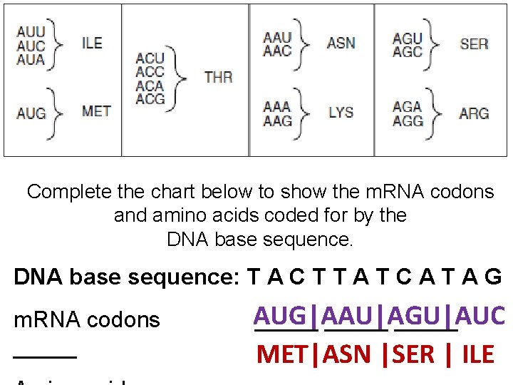 Complete the chart below to show the m. RNA codons and amino acids coded