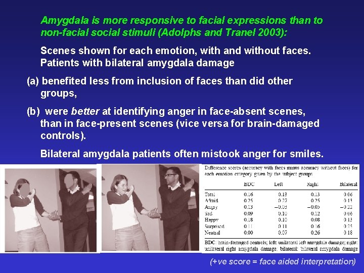 Amygdala is more responsive to facial expressions than to non-facial social stimuli (Adolphs and
