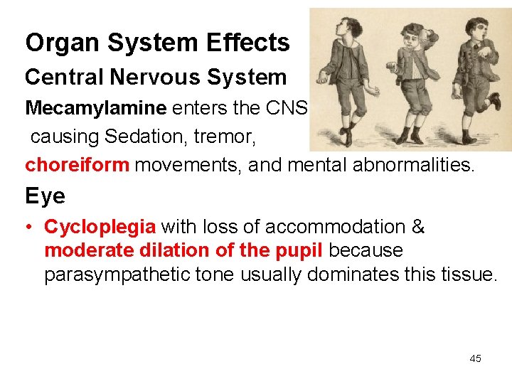 Organ System Effects Central Nervous System Mecamylamine enters the CNS causing Sedation, tremor, choreiform