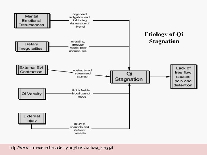http: //www. chineseherbacademy. org/flowcharts/qi_stag. gif 