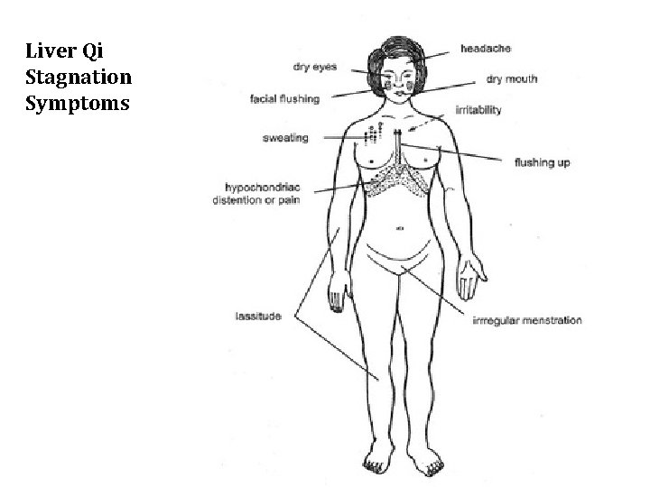 Liver Qi Stagnation Symptoms 