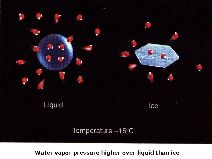 Water vapor pressure higher over liquid than ice 