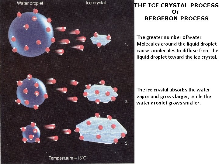 THE ICE CRYSTAL PROCESS Or BERGERON PROCESS The greater number of water Molecules around