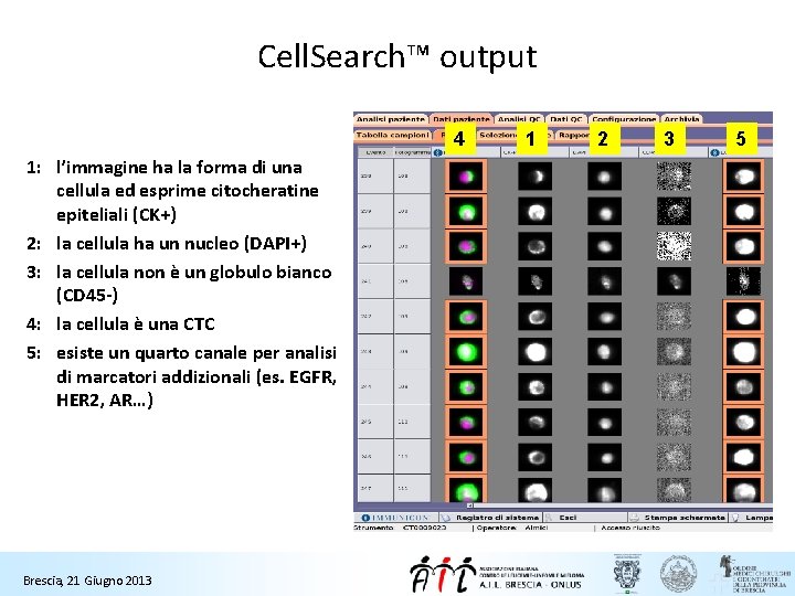 Cell. Search™ output 4 1: l’immagine ha la forma di una cellula ed esprime