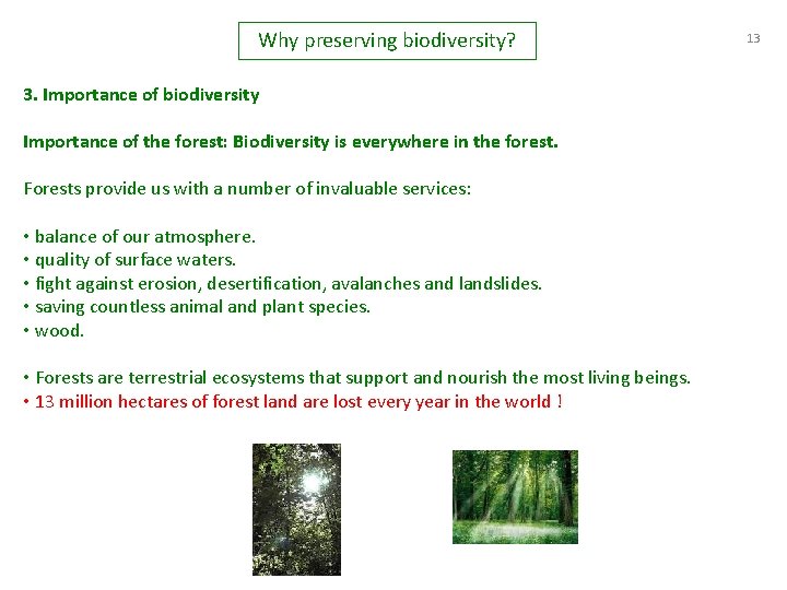 Why preserving biodiversity? 3. Importance of biodiversity Importance of the forest: Biodiversity is everywhere