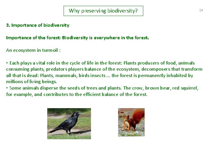 Why preserving biodiversity? 14 3. Importance of biodiversity Importance of the forest: Biodiversity is