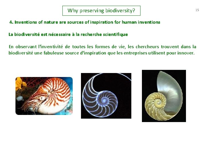 Why preserving biodiversity? 15 4. Inventions of nature are sources of inspiration for human