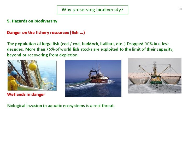 Why preserving biodiversity? 5. Hazards on biodiversity Danger on the fishery resources (fish. .