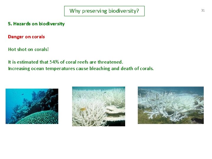 Why preserving biodiversity? 5. Hazards on biodiversity Danger on corals Hot shot on corals!