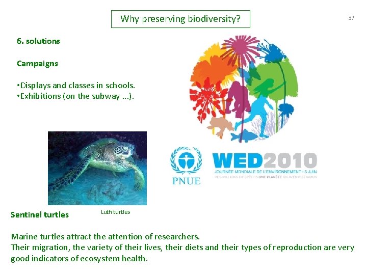 Why preserving biodiversity? 37 6. solutions Campaigns • Displays and classes in schools. •