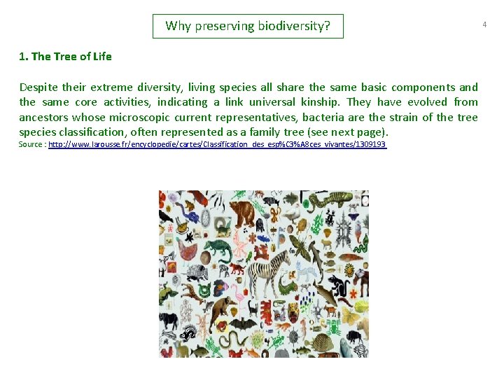 Why preserving biodiversity? 1. The Tree of Life Despite their extreme diversity, living species