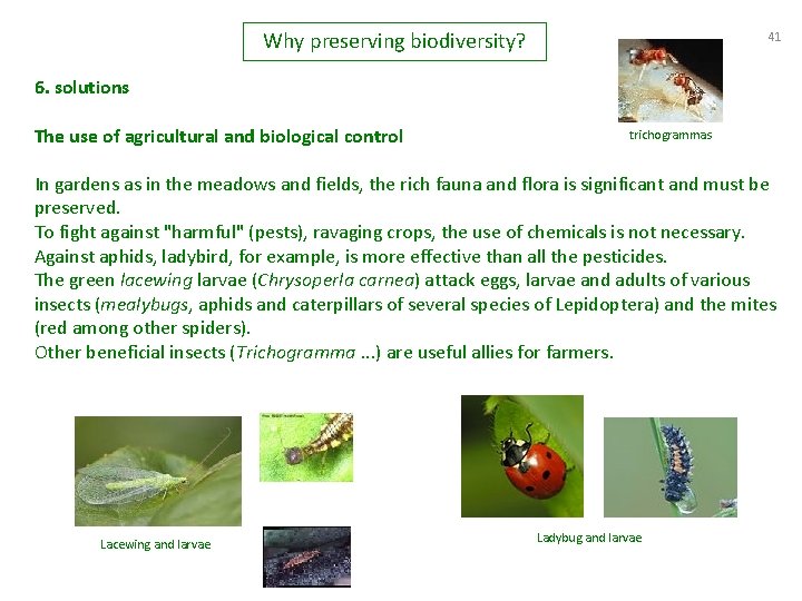 Why preserving biodiversity? 41 6. solutions The use of agricultural and biological control trichogrammas