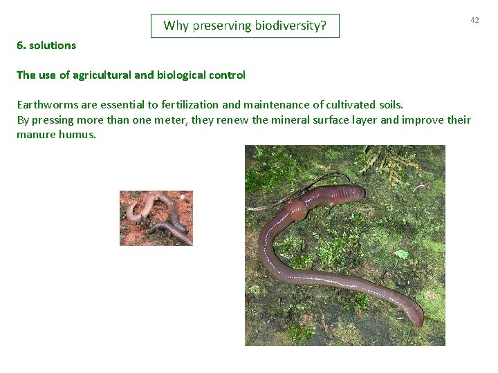 Why preserving biodiversity? 42 6. solutions The use of agricultural and biological control Earthworms