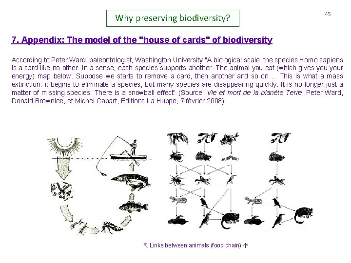 Why preserving biodiversity? 45 7. Appendix: The model of the "house of cards" of