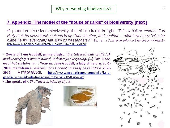 Why preserving biodiversity? 47 7. Appendix: The model of the "house of cards" of
