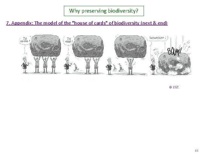 Why preserving biodiversity? 7. Appendix: The model of the "house of cards" of biodiversity