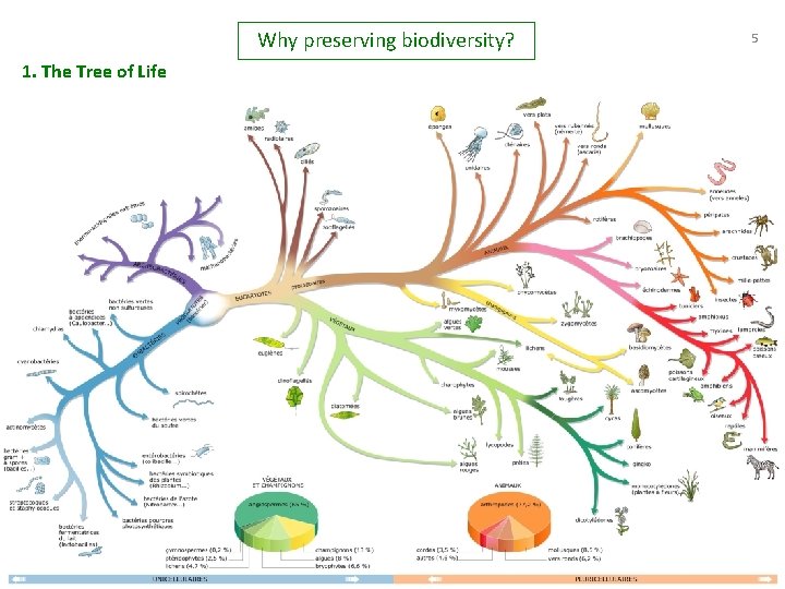 Why preserving biodiversity? 5 1. The Tree of Life 5 