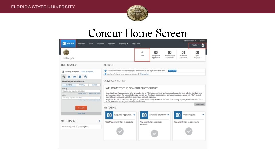 Concur Home Screen 
