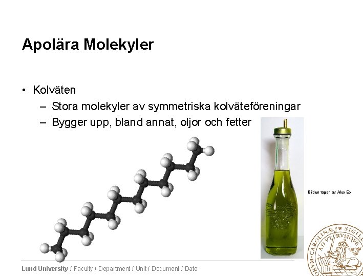 Apolära Molekyler • Kolväten – Stora molekyler av symmetriska kolväteföreningar – Bygger upp, bland