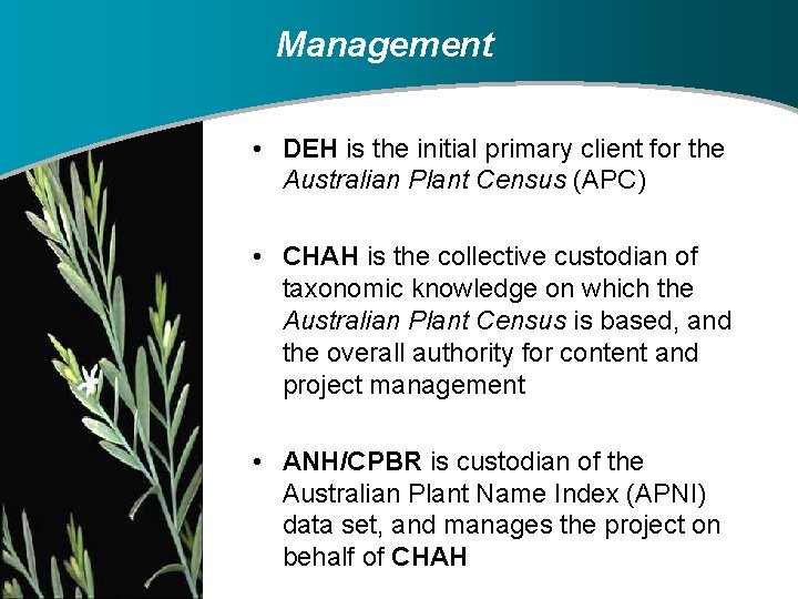 Management • DEH is the initial primary client for the Australian Plant Census (APC)