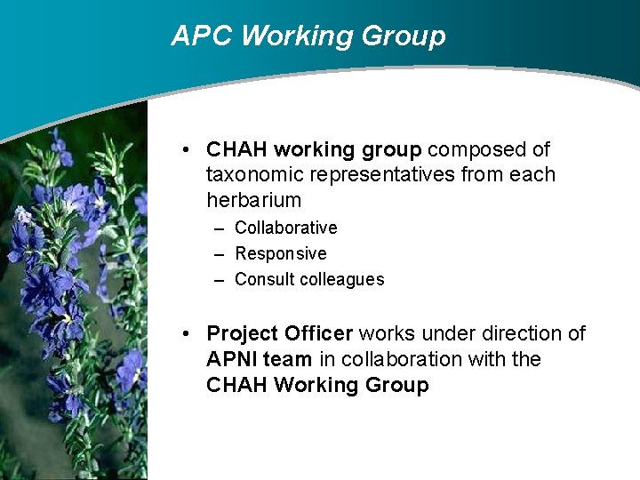 APC Working Group • CHAH working group composed of taxonomic representatives from each herbarium