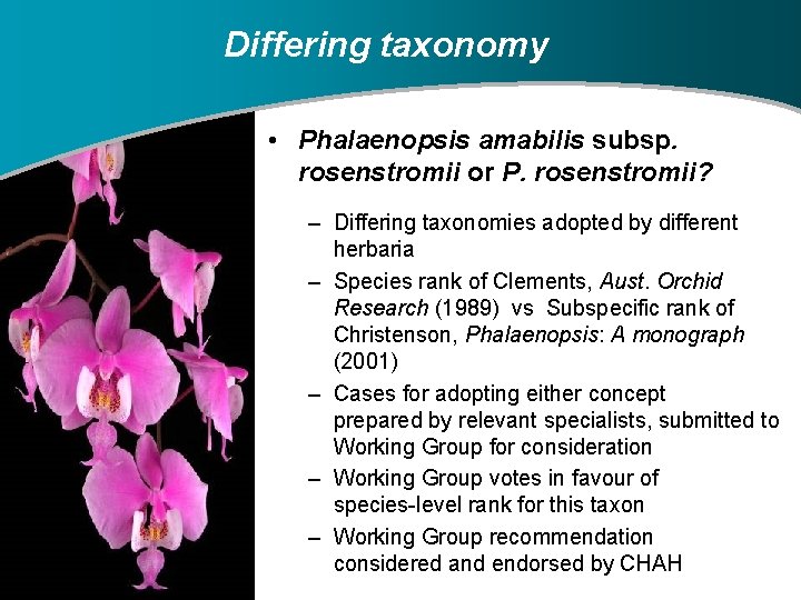 Differing taxonomy • Phalaenopsis amabilis subsp. rosenstromii or P. rosenstromii? – Differing taxonomies adopted