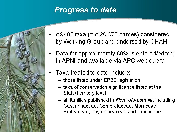 Progress to date • c. 9400 taxa (= c. 28, 370 names) considered by