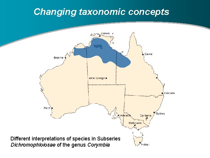 Changing taxonomic concepts Different interpretations of species in Subseries Dichromophloiosae of the genus Corymbia