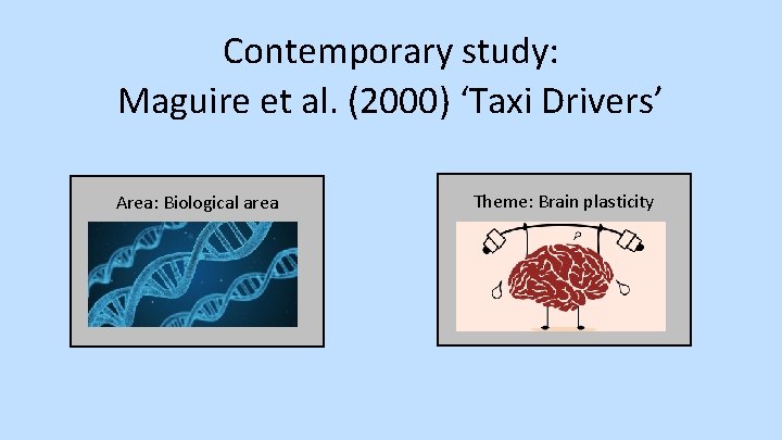 Contemporary study: Maguire et al. (2000) ‘Taxi Drivers’ Area: Biological area Theme: Brain plasticity