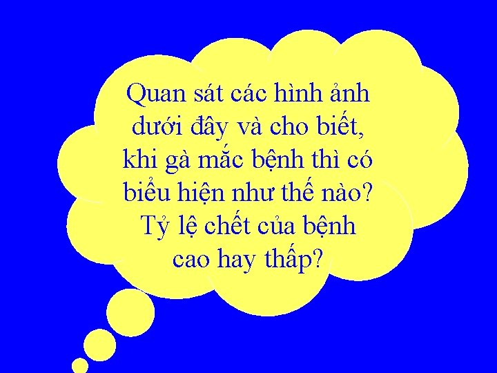 Quan sát các hình ảnh dưới đây và cho biết, khi gà mắc bệnh