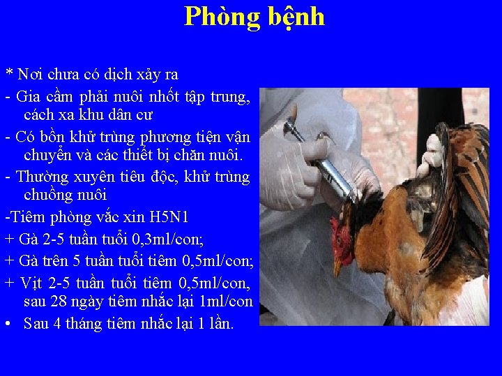 Phòng bệnh * Nơi chưa có dịch xảy ra - Gia cầm phải nuôi