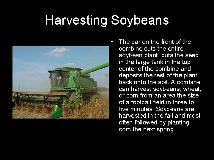 Harvesting Soybeans • The bar on the front of the combine cuts the entire