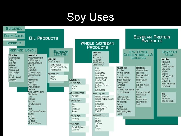 Soy Uses 