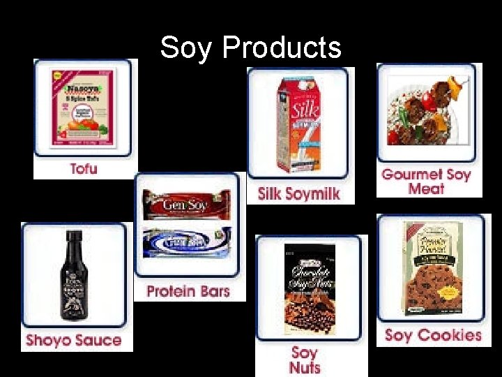 Soy Products 