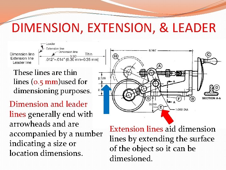 DIMENSION, EXTENSION, & LEADER These lines are thin lines (0. 5 mm)used for dimensioning