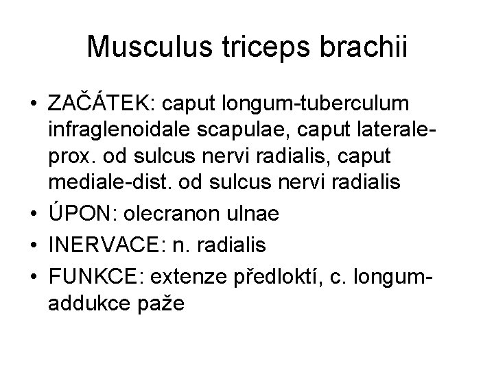 Musculus triceps brachii • ZAČÁTEK: caput longum-tuberculum infraglenoidale scapulae, caput lateraleprox. od sulcus nervi