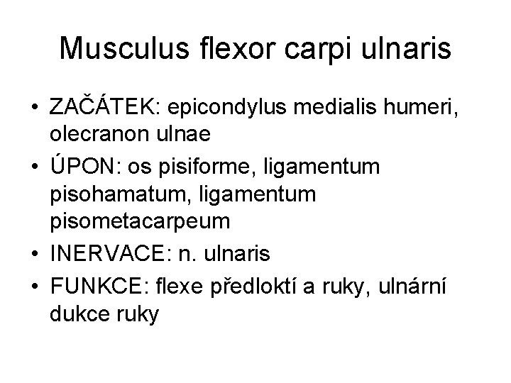 Musculus flexor carpi ulnaris • ZAČÁTEK: epicondylus medialis humeri, olecranon ulnae • ÚPON: os
