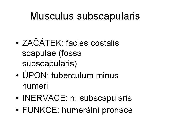 Musculus subscapularis • ZAČÁTEK: facies costalis scapulae (fossa subscapularis) • ÚPON: tuberculum minus humeri