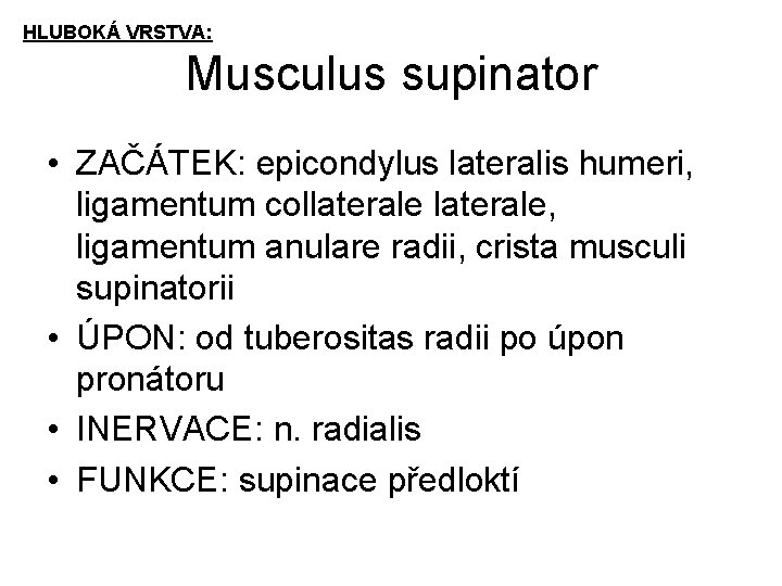 HLUBOKÁ VRSTVA: Musculus supinator • ZAČÁTEK: epicondylus lateralis humeri, ligamentum collaterale, ligamentum anulare radii,