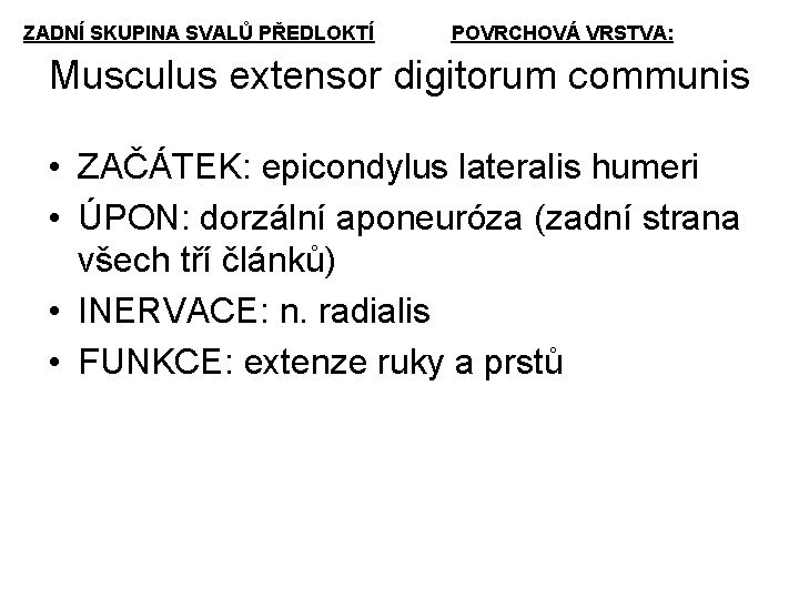 ZADNÍ SKUPINA SVALŮ PŘEDLOKTÍ POVRCHOVÁ VRSTVA: Musculus extensor digitorum communis • ZAČÁTEK: epicondylus lateralis