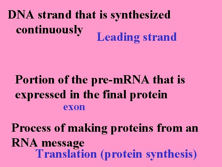 DNA strand that is synthesized continuously Leading strand Portion of the pre-m. RNA that