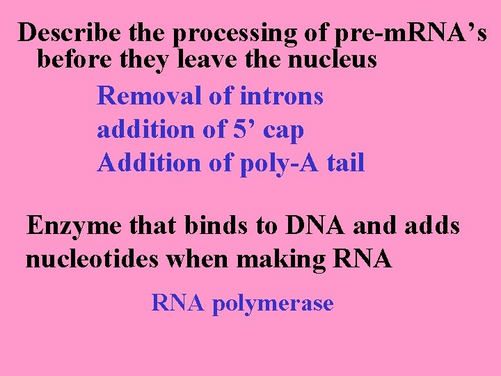 Describe the processing of pre-m. RNA’s before they leave the nucleus Removal of introns